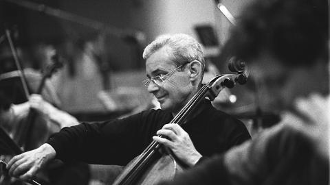 Member of the Rundfunk-Sinfonieorchester Berlin