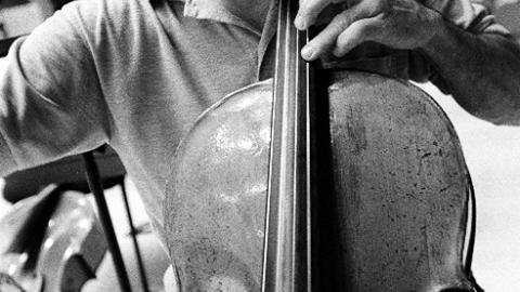 Members of the Barcelona Symphony