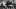 Members of the University of Michigan Symphony Orchestra